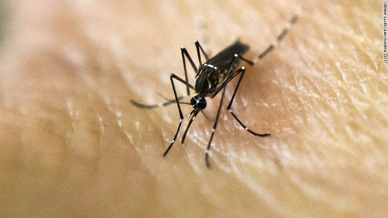 Mosquito On Skin — Pittsburgh, PA — Complete Pest Control Services