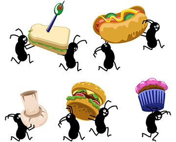 Ants Carrying Foods — Pittsburgh, PA — Complete Pest Control Services