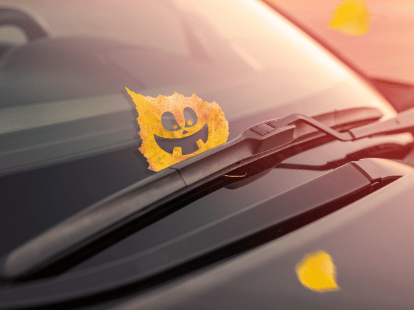 Get Fall Car Care in North Texas Before Trouble Haunts You