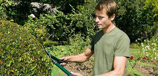 Landscaping Maintenance in Clearwater, MN