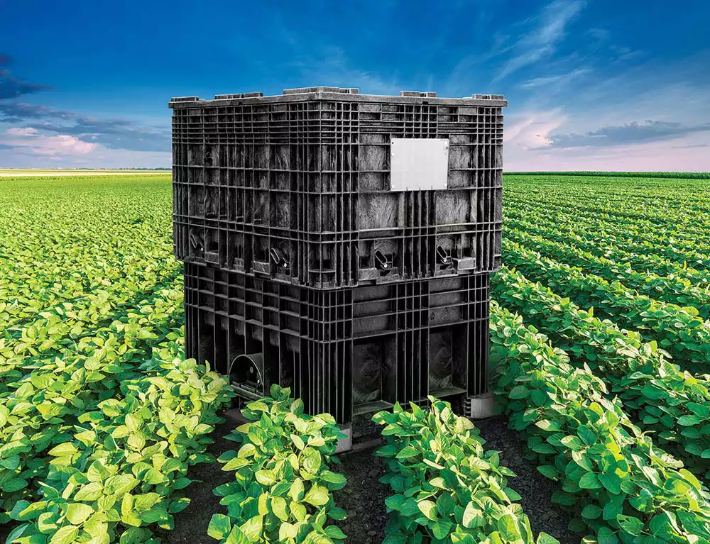 Seed and Feed Application