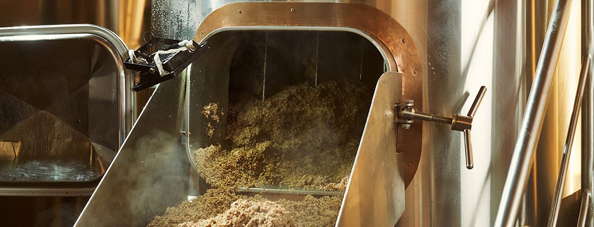 Spent grain from beer brewing process