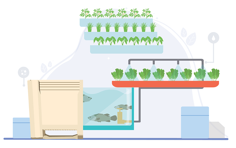 Aquaponics and bulk bins