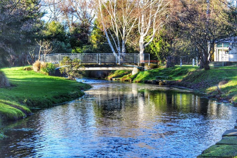 There is a bridge over a river in the middle of a park.