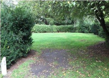 A lush green field with trees and bushes surrounding it