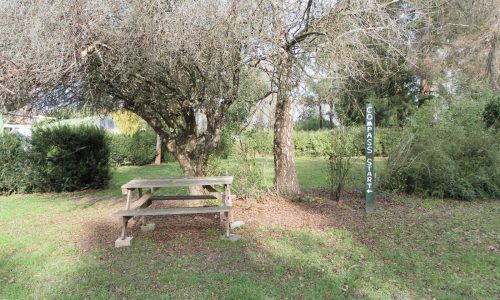 A wooden picnic table is sitting under a tree in a park.