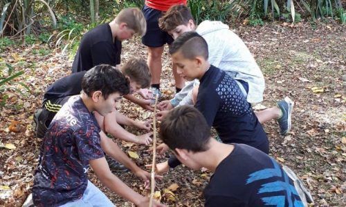 A group of young boys are playing with a stick in the woods.