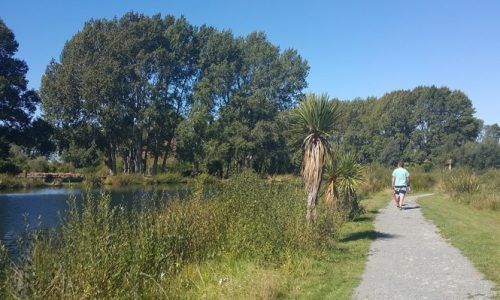 A man is riding a bike down a path next to a lake.