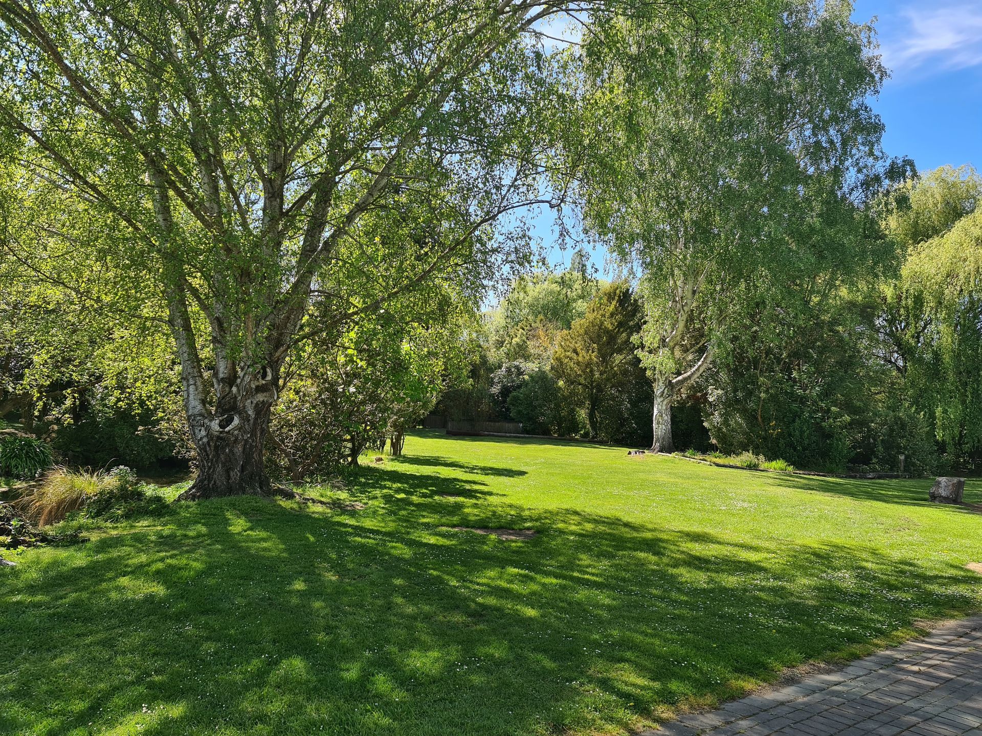 A large lush green field surrounded by trees on a sunny day.