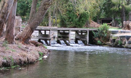 A bridge over a river with trees in the background