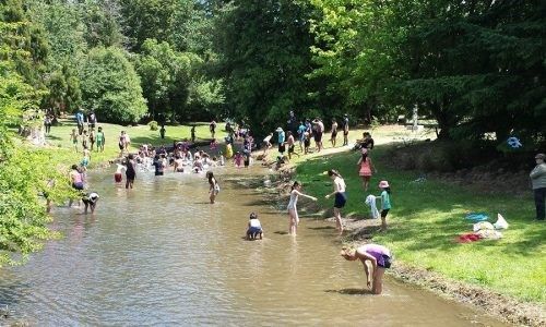 A group of people are playing in a river.