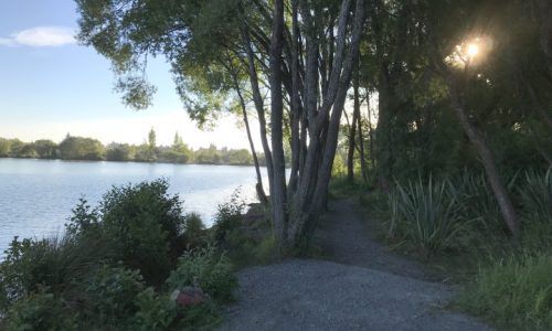 A path leading to a lake surrounded by trees and grass.