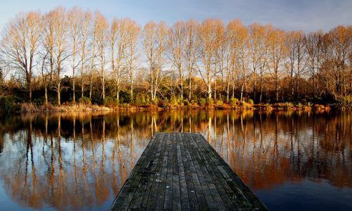 There is a dock in the middle of a lake with trees reflected in the water.