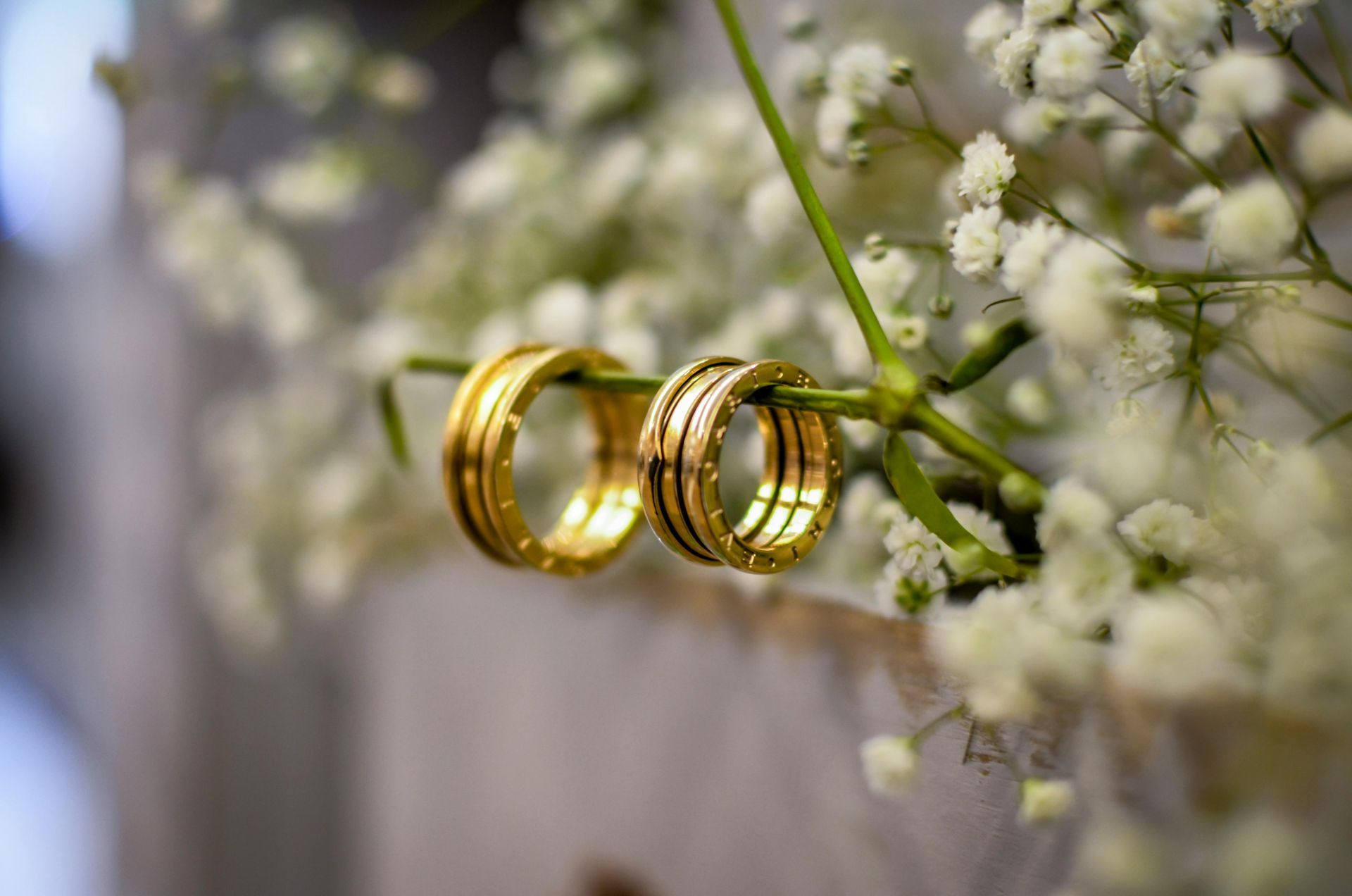 A pair of wedding rings sitting on top of a flower.