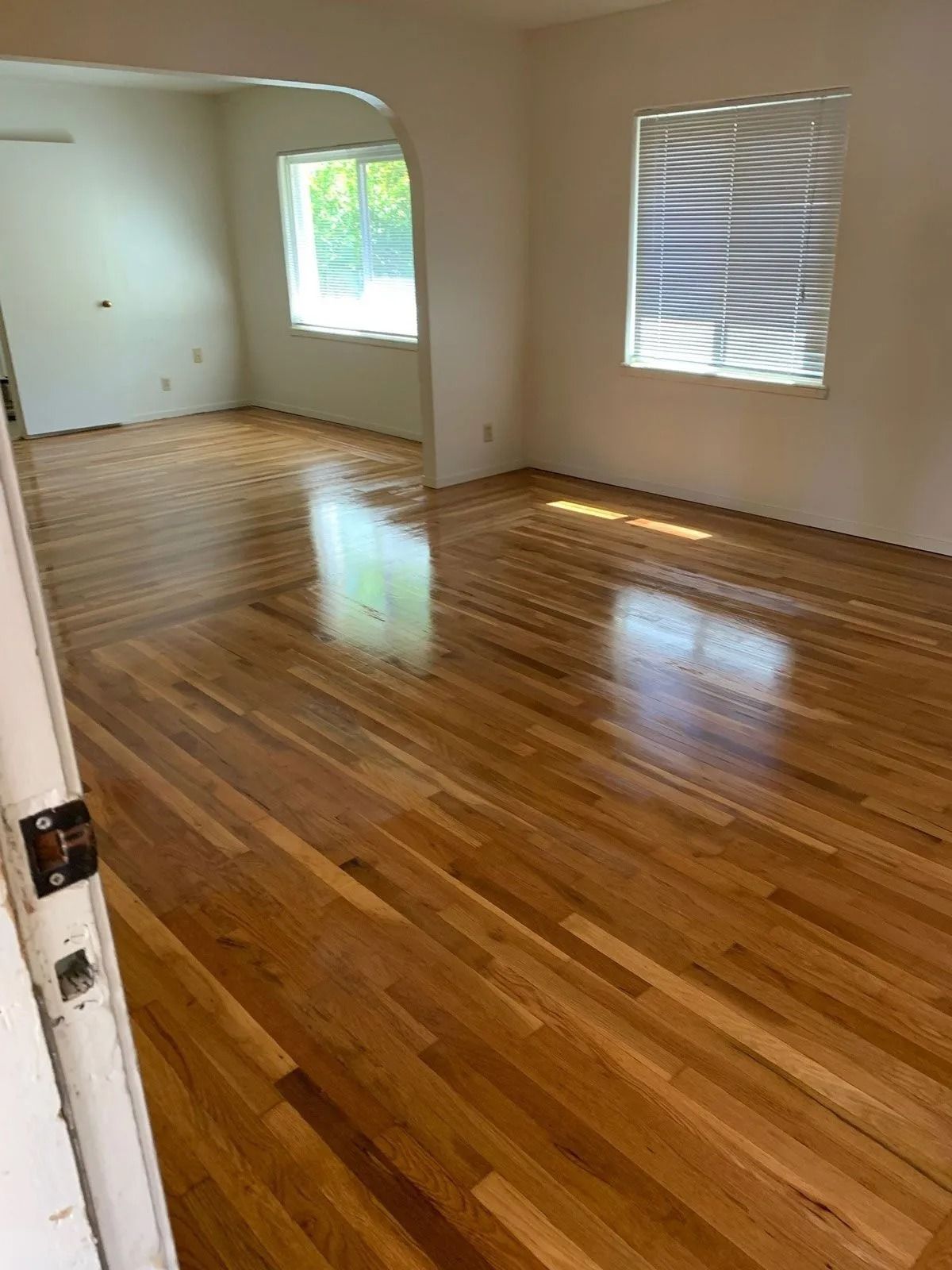 Hardwood floors reflect light in a bright room with an arched doorway leading to another room.