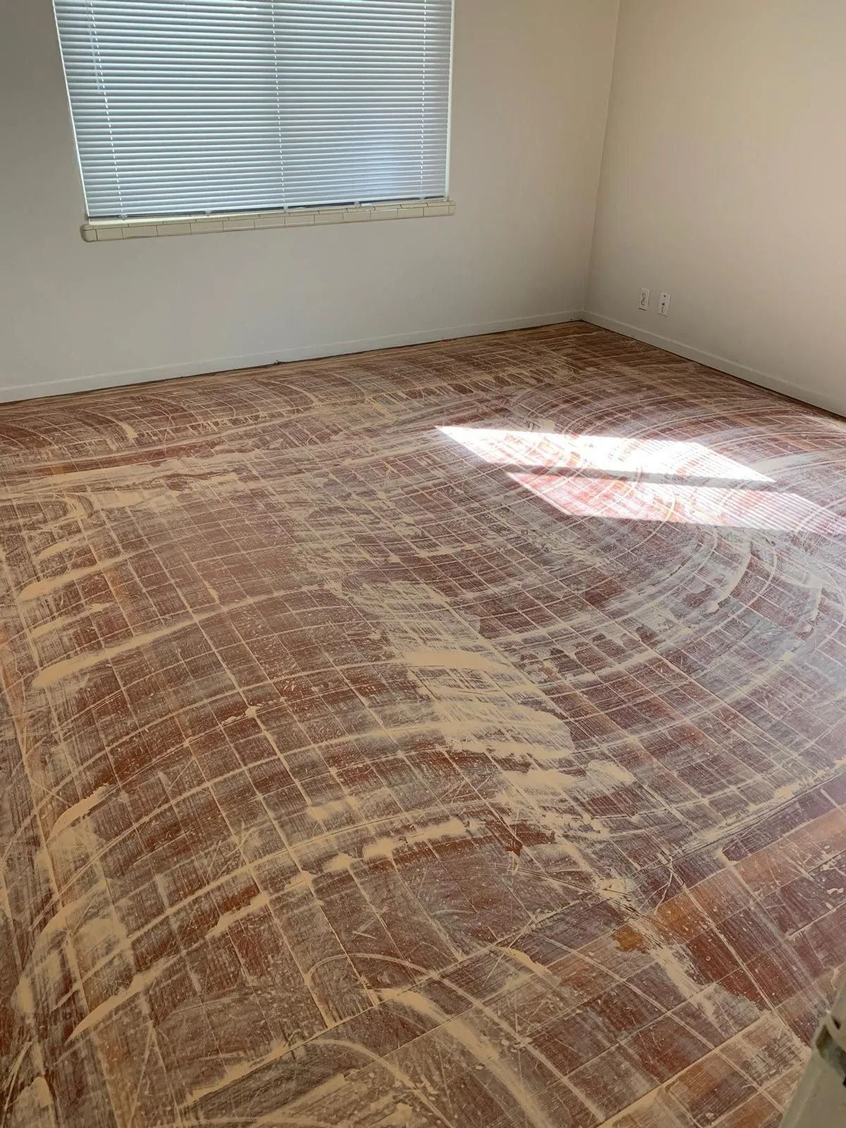 Wood floor with sanding dust in a room with a window; sunlight streams across it.