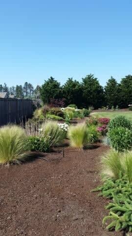 Spring Cleanup — Lawn Maintenance in Rochester, WA