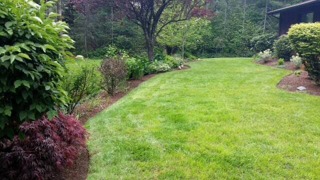 Shrub Pruning — Lawn Maintenance in Rochester, WA