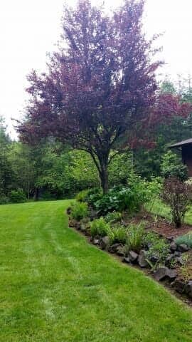 Lawn And Tree — Lawn Maintenance in Rochester, WA