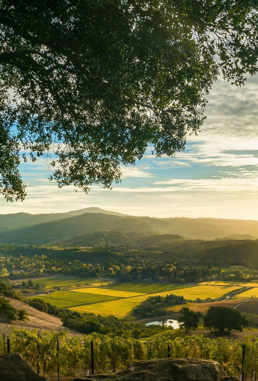 Sunrise in a valley with fields and orchards