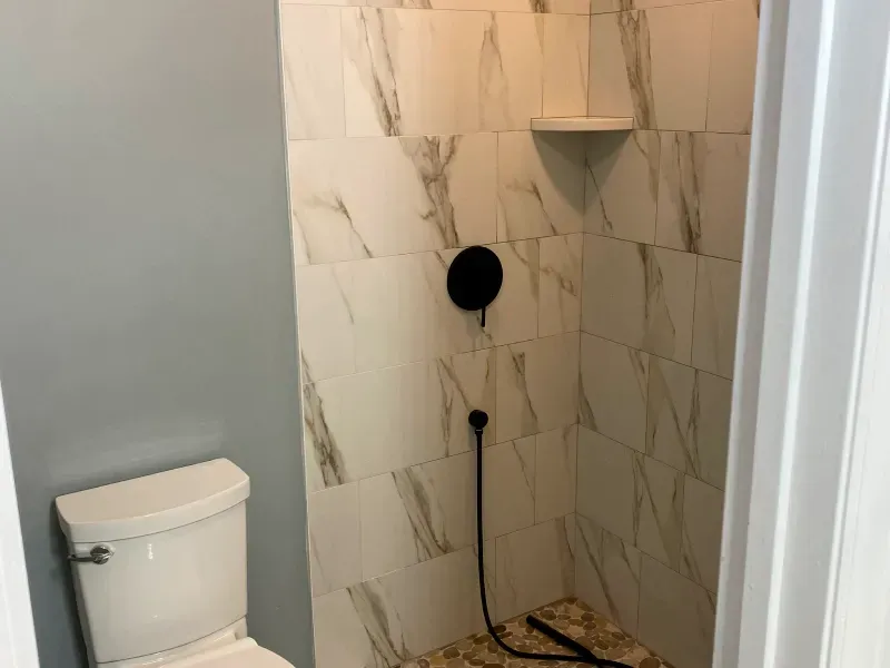 A bathroom with a toilet and a walk in shower.