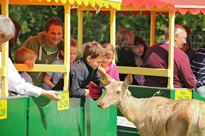 People on a colorful train feeding a deer at a zoo or park.