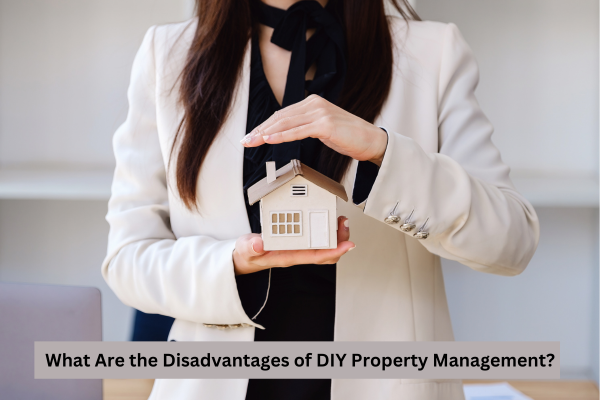 Disadvantages of DIY Property Management