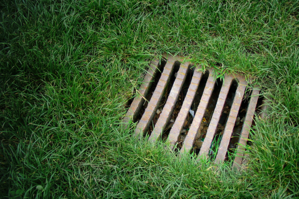 A drain cover is sitting in the middle of a lush green lawn.