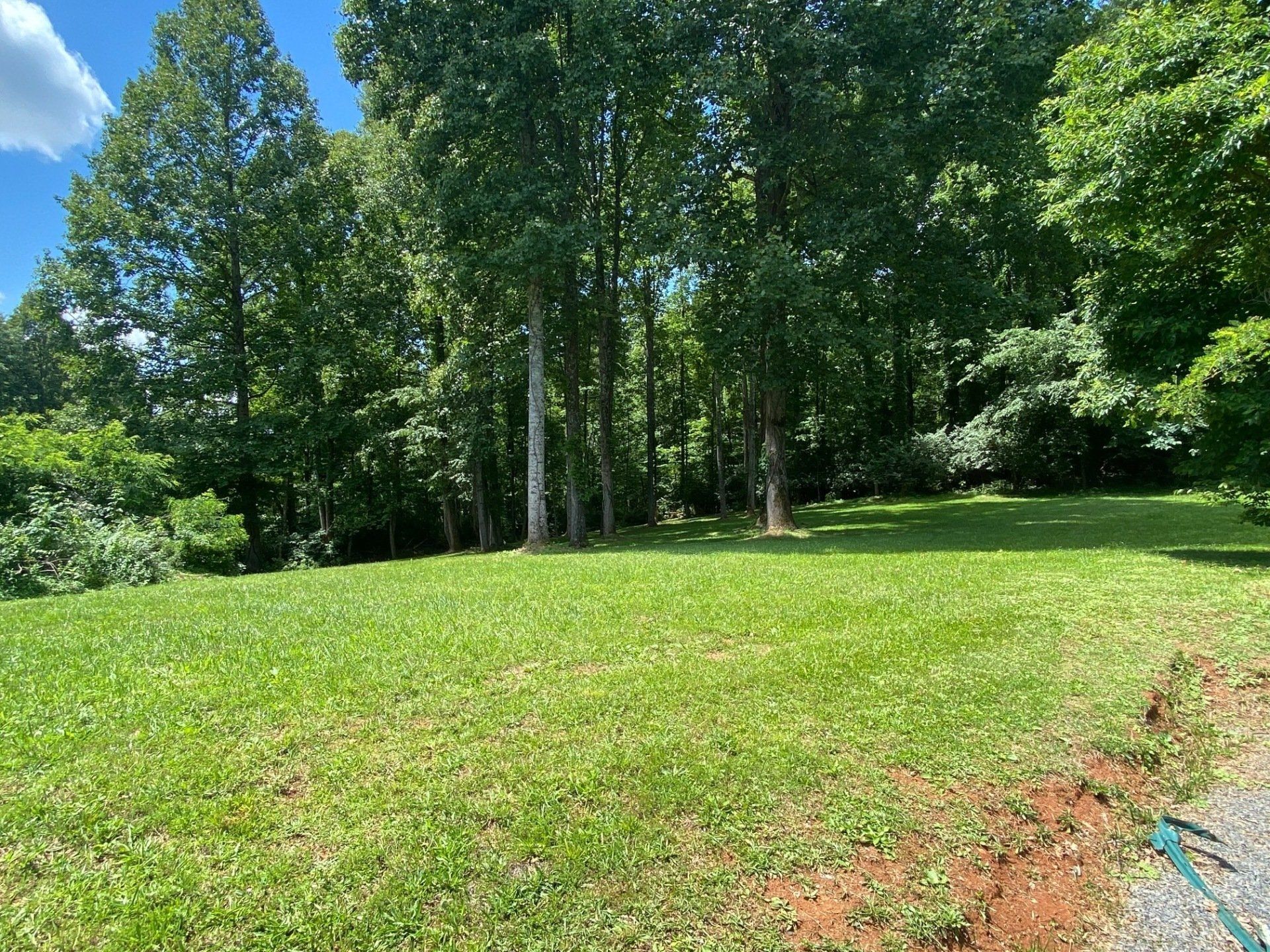 A large lush green field surrounded by trees on a sunny day.