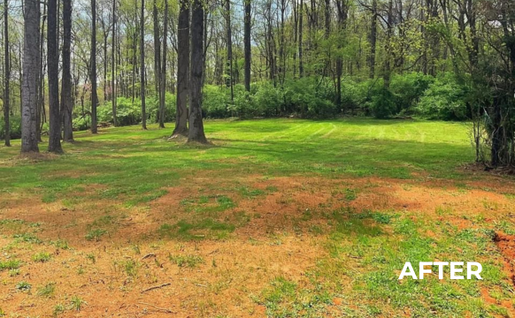 AN AFTER picture of a lush green field with trees in the background.