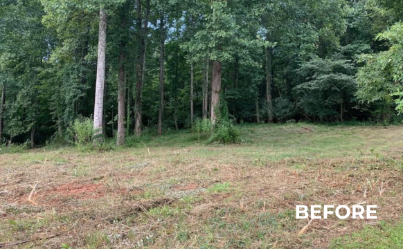 A before picture of a field with trees in the background.