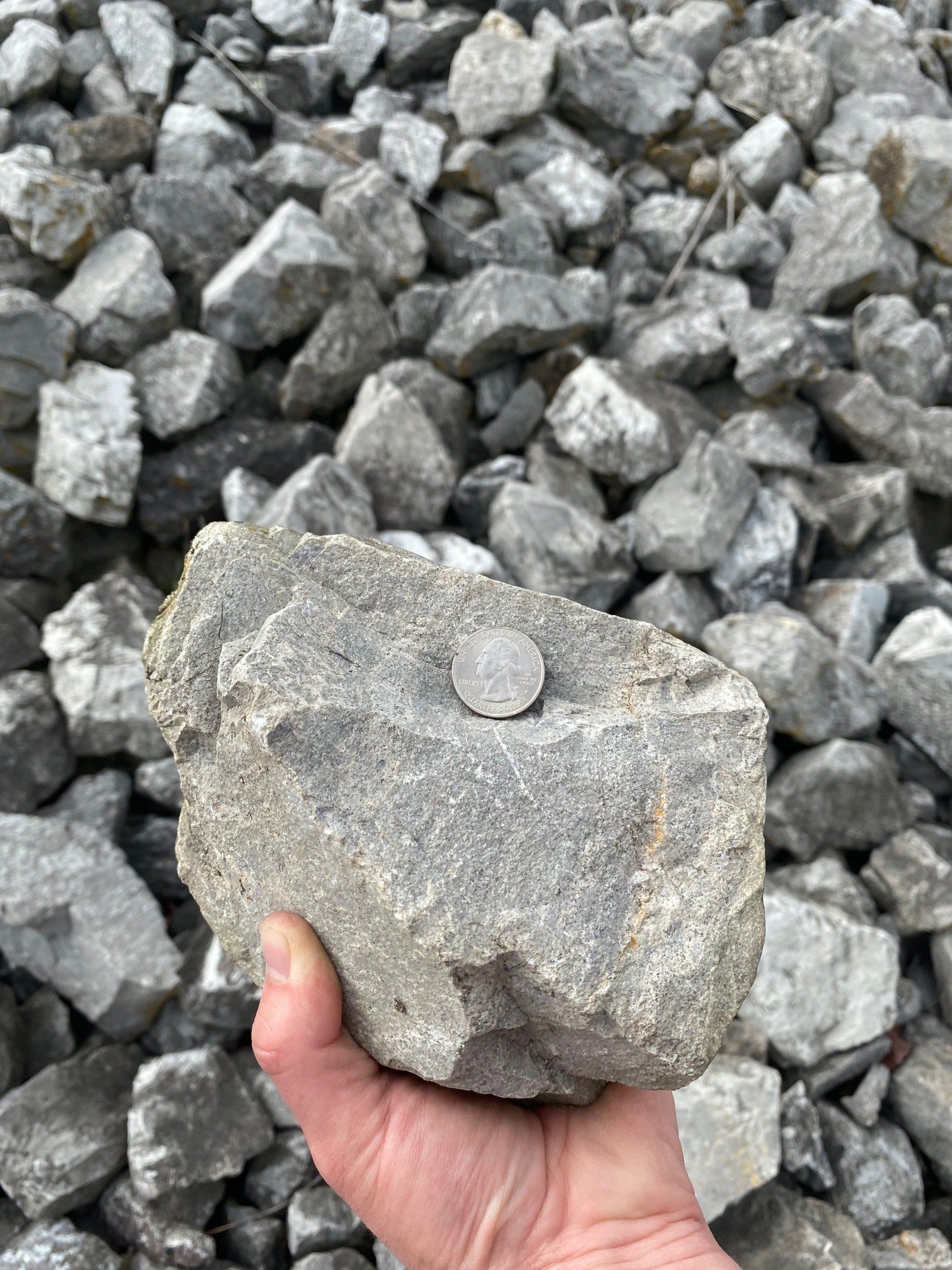 rip Rap stone with a quarter on top for size comparison