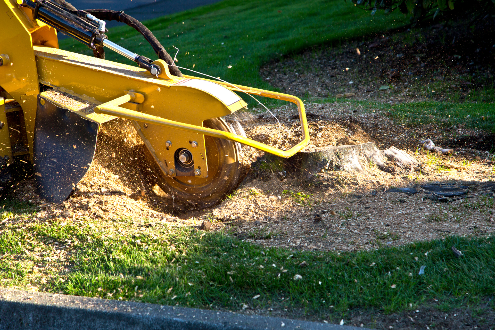 A yellow stump grinder is cutting a tree stump in the grass.