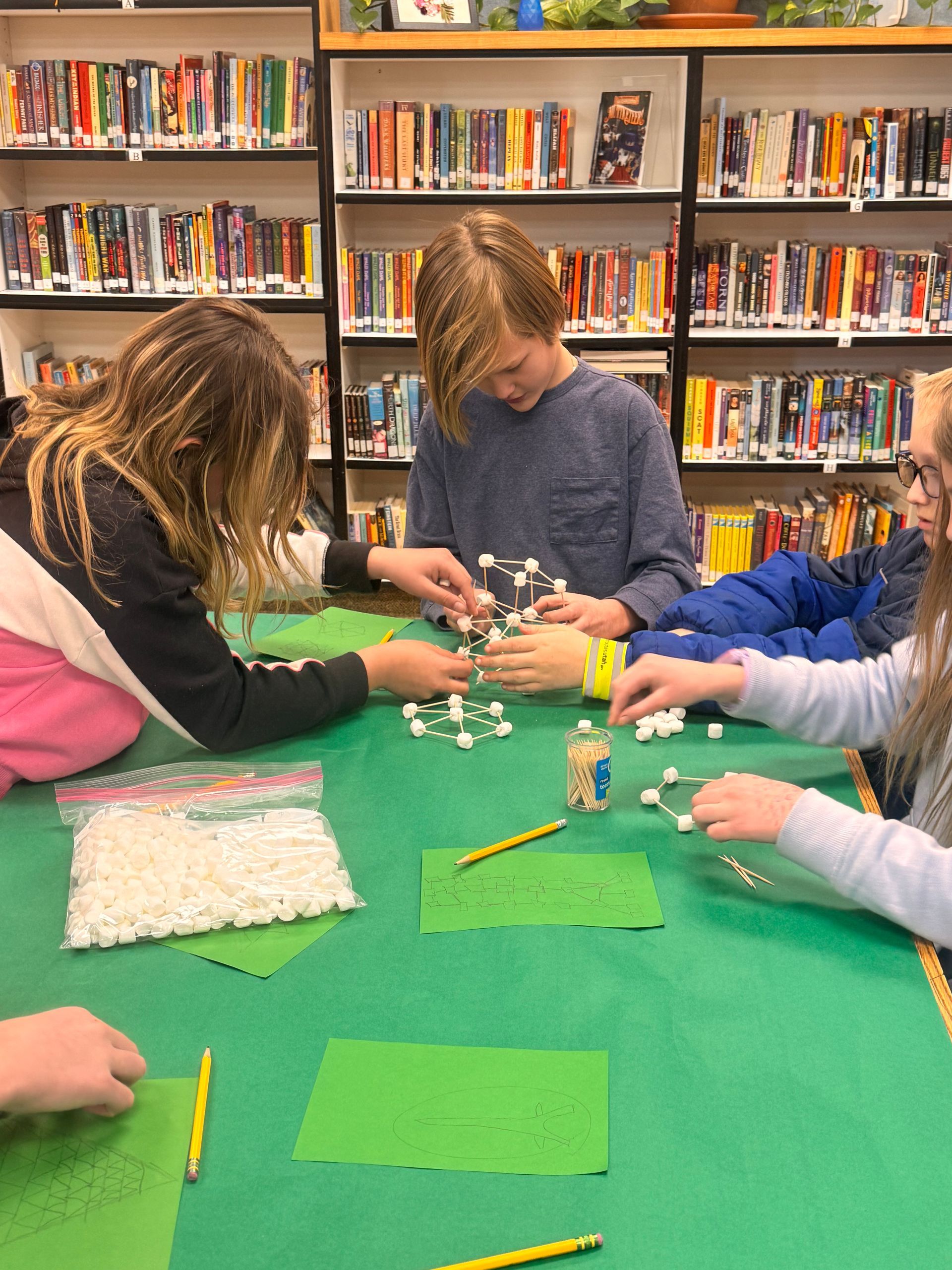 Sixth grade students build a tower with toothpicks and marshmallows.