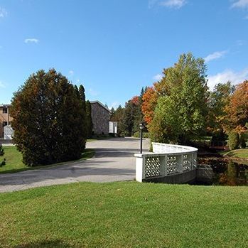 A sunny day, trees, a bridge, and a road under a blue sky.
