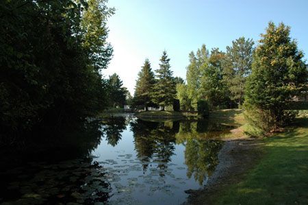 Still water reflecting trees, under a clear blue sky. Green grass on the right.