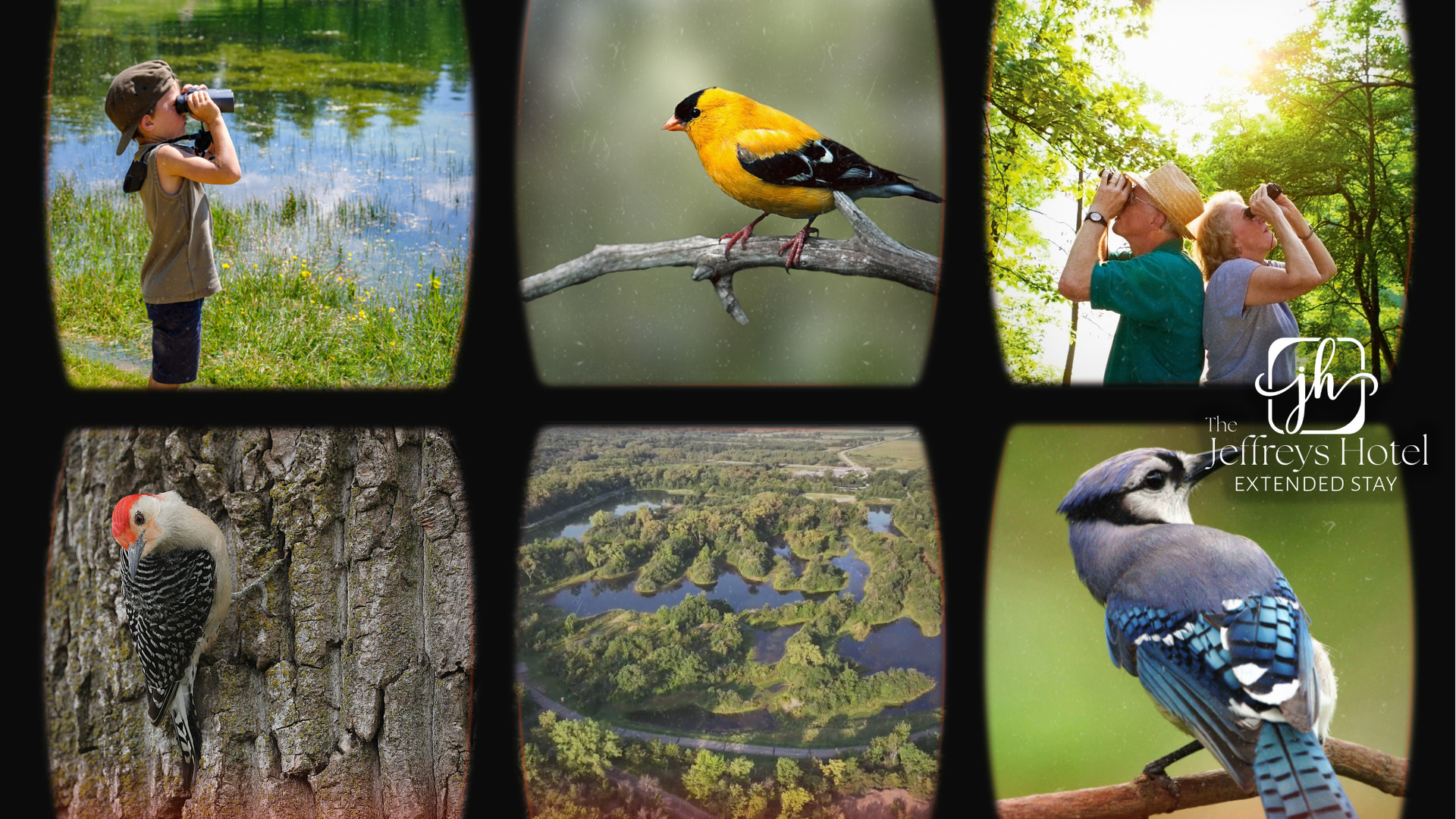 Birdwatching near Osceola; goldfinch, red-bellied woodpecker, blue jay. Wetland view. 