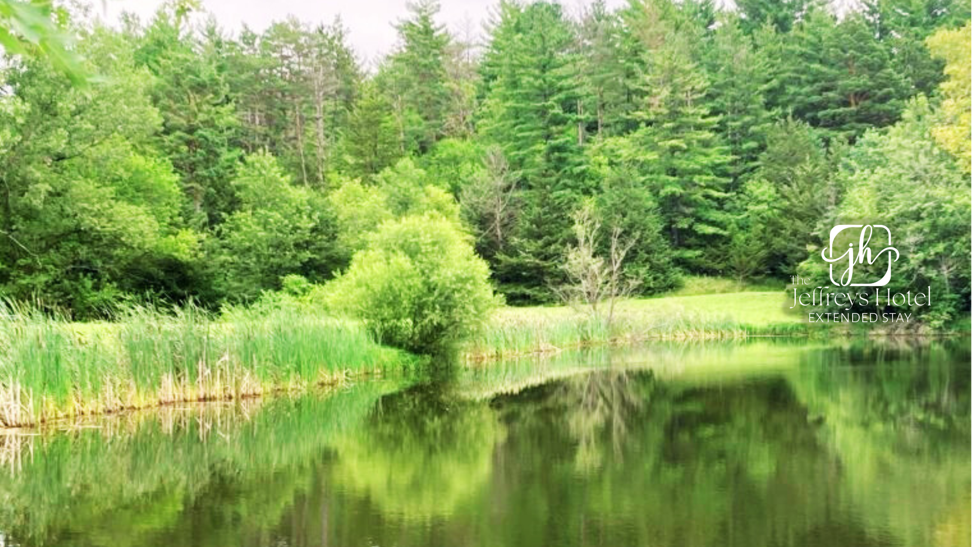 Lush green trees and reeds line a reflective lake. Green Pine Wildlife Area near Osceola, Iowa