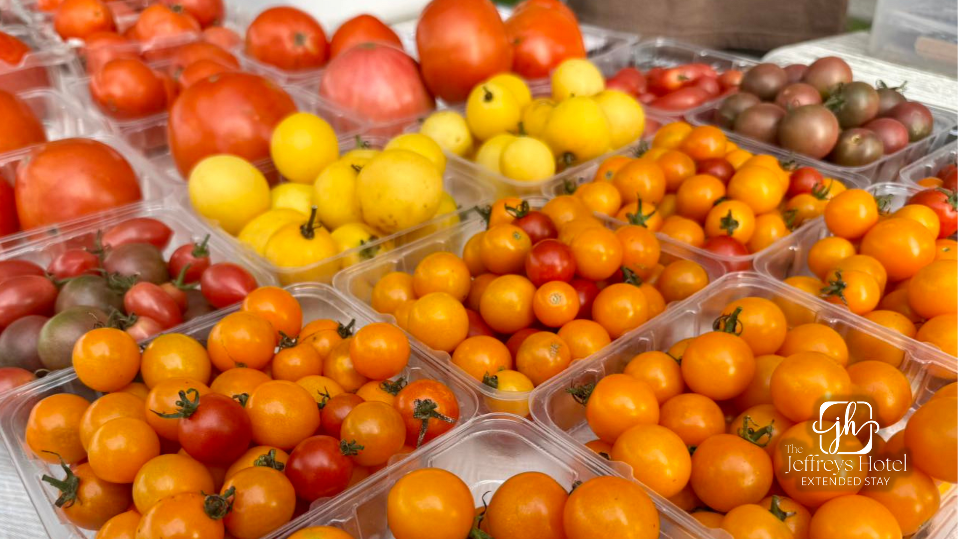 Various colorful tomatoes in plastic containers at the Clarke County, IA farmers market in Osceola