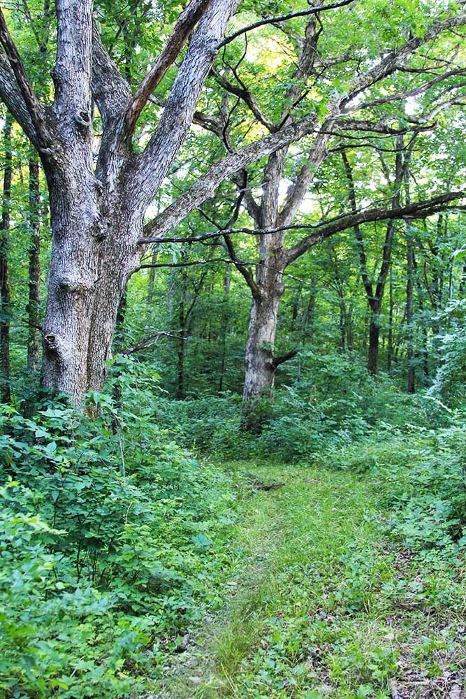 Day hiking trips near Osceola
