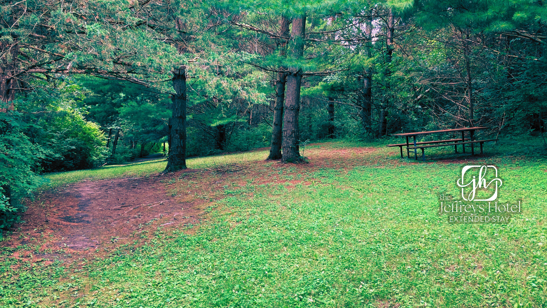 Grassy clearing in a forest in Osceola - picnic table and trail leading to a dense green background.