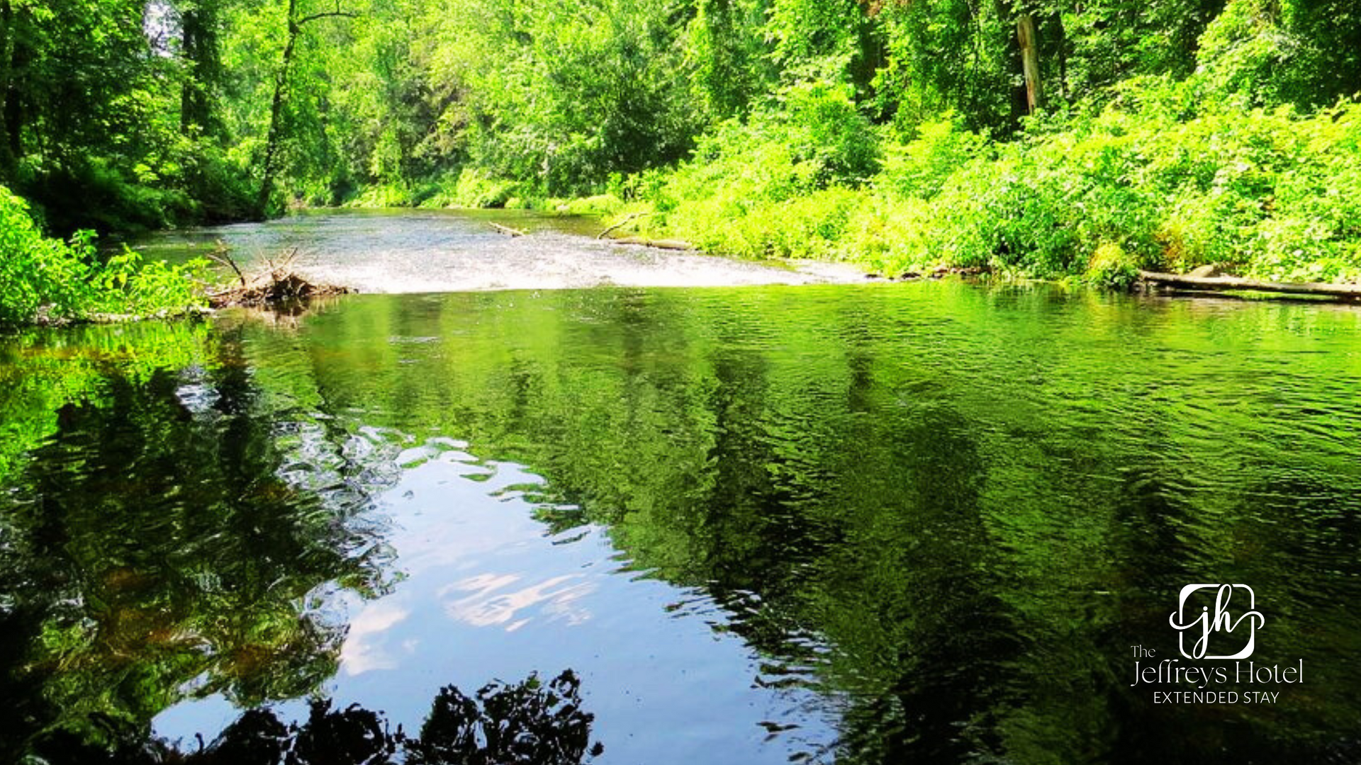 Stephens State Forest: A serene river reflecting lush green trees on a sunny day.
