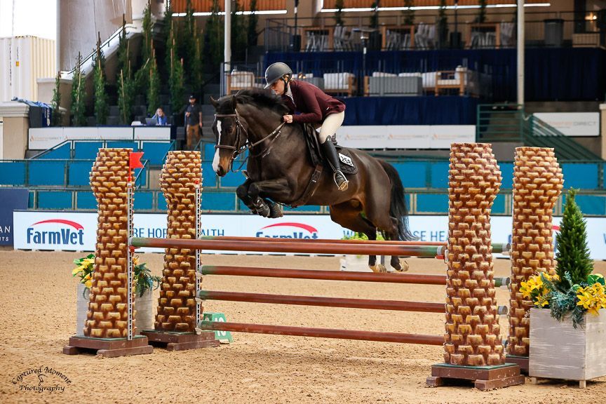 A horse jumping over a hurdle with a farmvet sign in the background