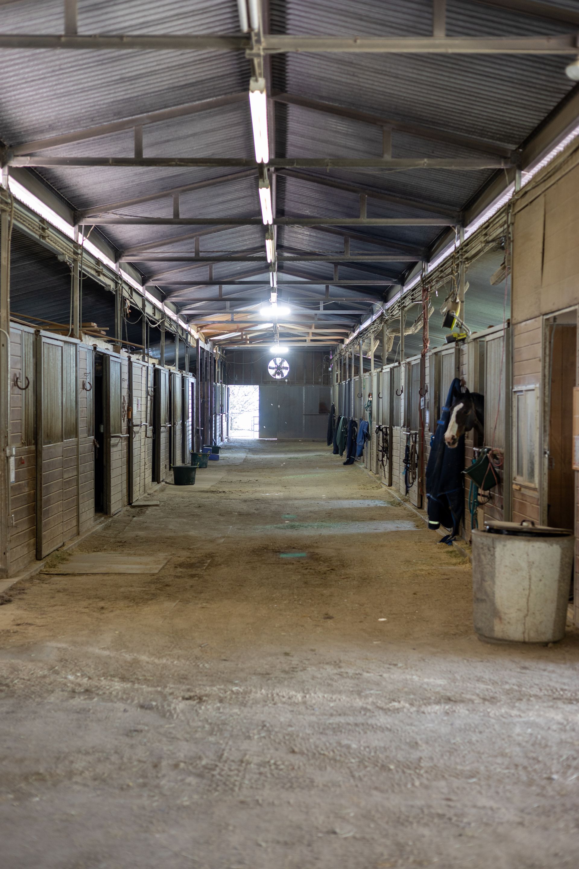 A long hallway filled with rows of horse stables.