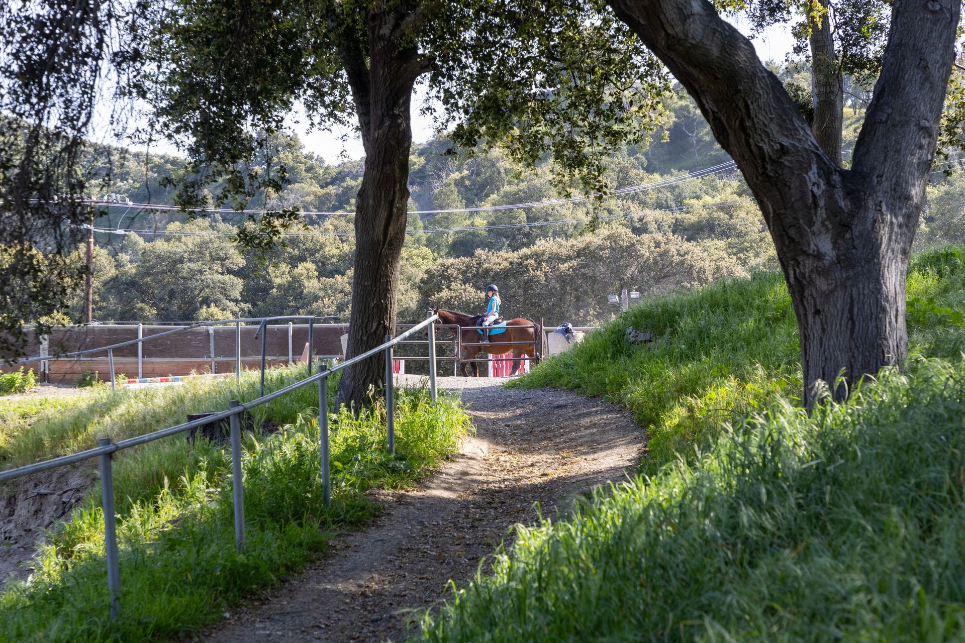 A person is riding a horse down a path in the woods.