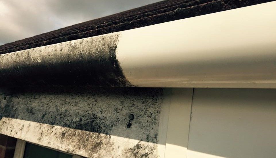 Deep Gutter Cleaning