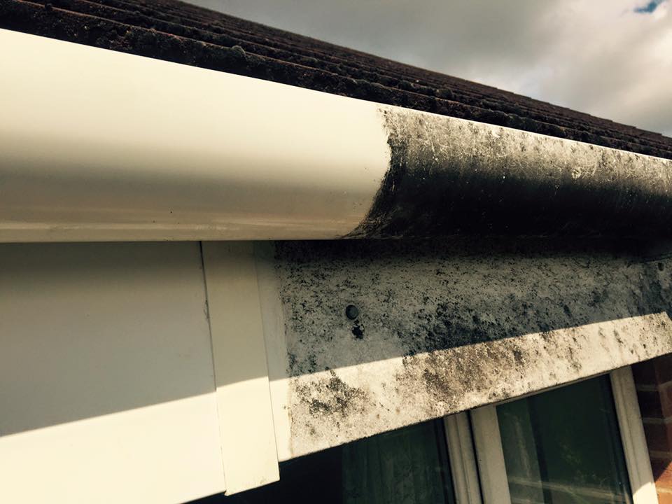 Guttaclean Gutter cleaning and fascias Southampton