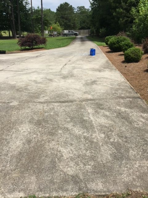 A concrete driveway stretches uphill towards a road, flanked by bushes. A blue barrel sits on the right side.