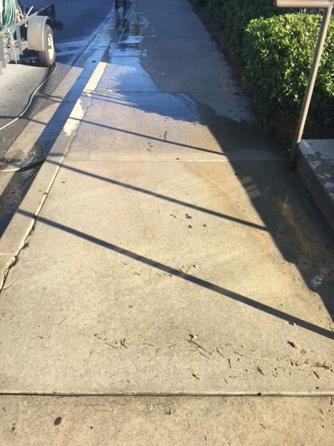 Sidewalk being cleaned with water. Wet pavement with long shadows; a hedge and sign on the right.