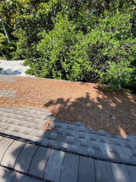 View from a dark-colored shingled roof covered in pine needles, with green foliage and trees in the background.